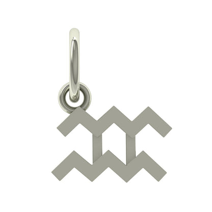 Aquarius Charm