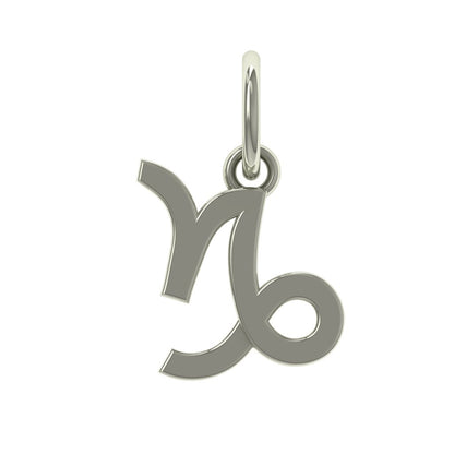 Capricorn Charm