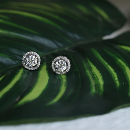 Solitaire Halo Moissanite Studs