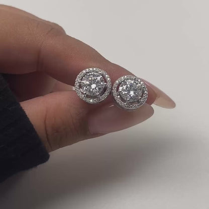 Classic Solitaire Halo Moissanite Studs